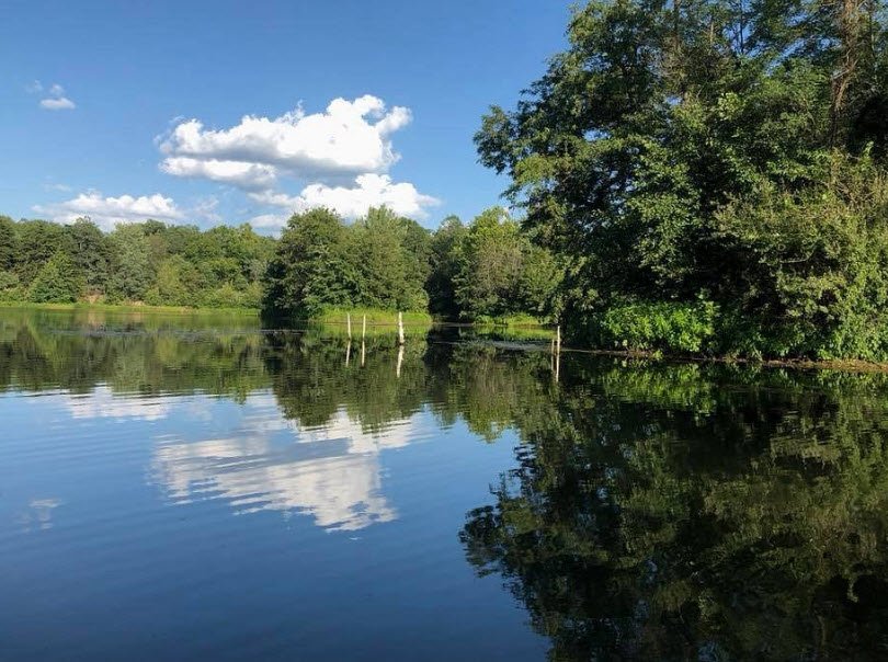 Finger Lakes State Park, Missouri, USA